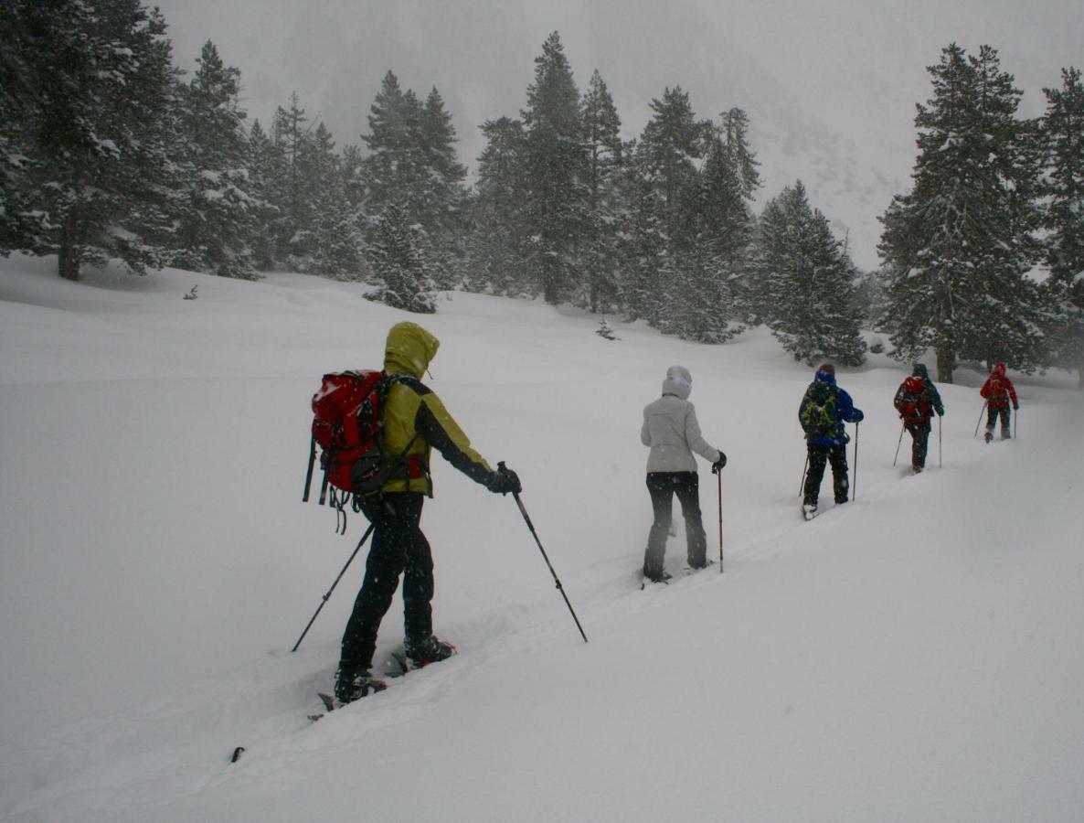 Amaroq Explorers Basecamp Tremp Bagian luar foto